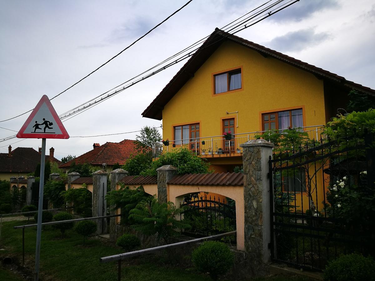 Pensiunea Ramona Carpinisu ภายนอก รูปภาพ